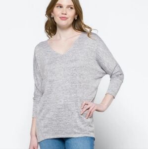 Market & Spruce Liraven V Neck Dolman Batwing Sleeve Top Oversized Fit